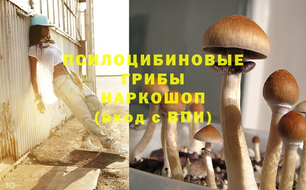 прущая мука Пролетарск