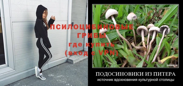 прущая мука Пролетарск