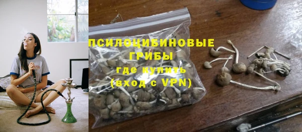 сатива Протвино