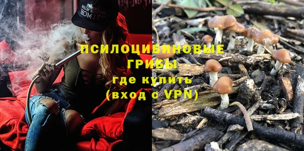 сатива Протвино