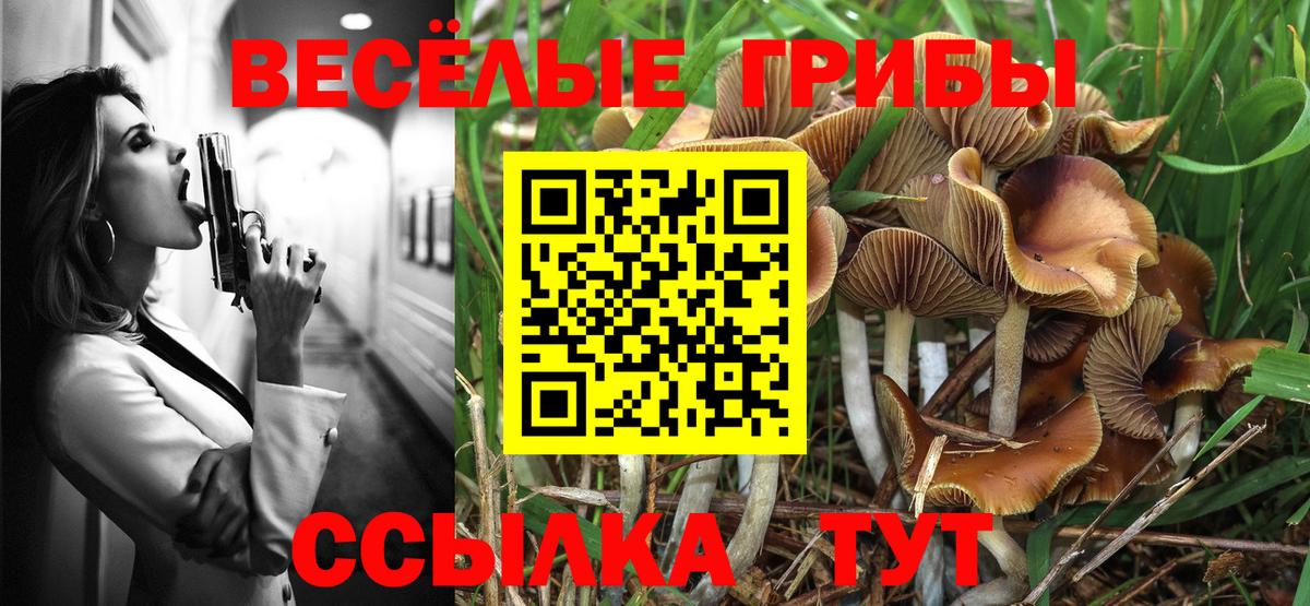 Стрежевой  Псилоцибиновые грибы GOLDEN TEACHER  Вход с VPN 