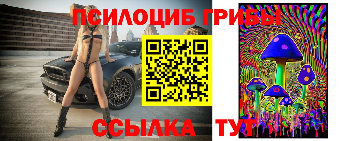 Псилоцибиновые грибы мухоморы Стрежевой